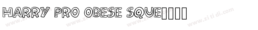 Harry Pro Obese Sque字体转换
